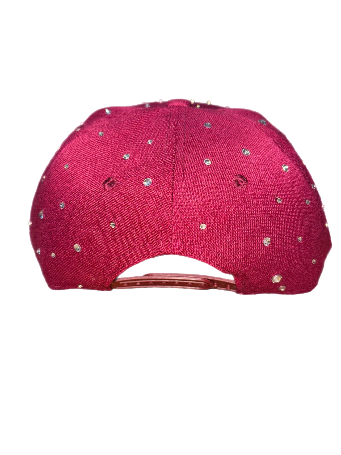 Houston Astros SnapBack Icy Hot